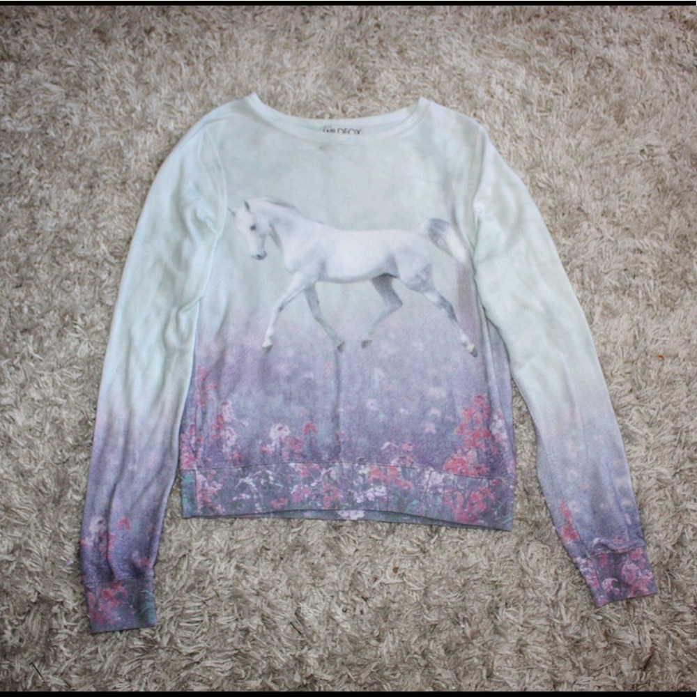 💞RARE Wildfox Sweater💞